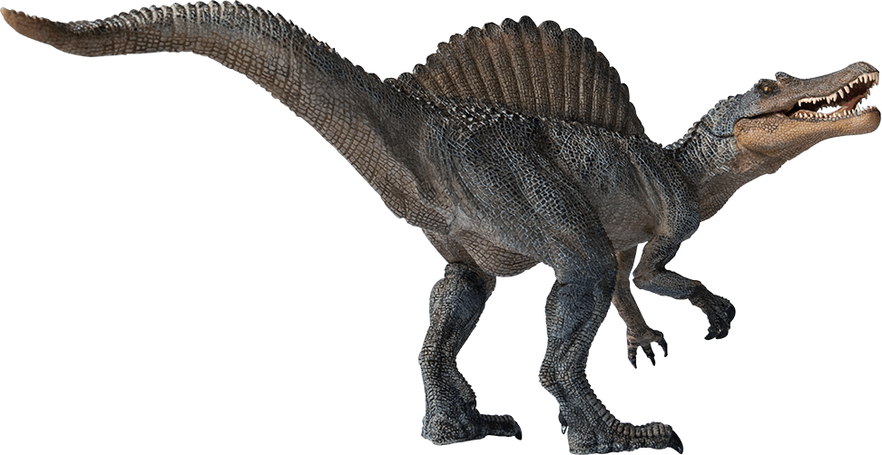 Spinosaurus Png Transparent Image - Spinosaurus Png (972x502), Png Download