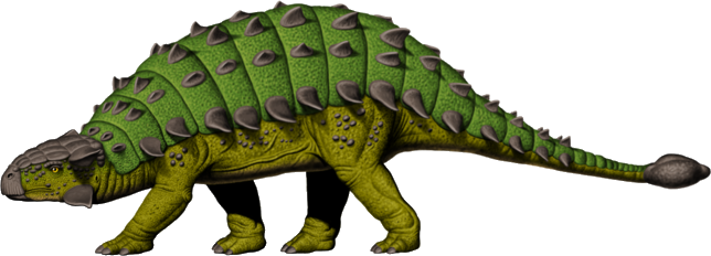 Spinosaurus Clipart Ankylosaurus - Ankylosaurus Dinosaur Clipart (644x232), Png Download
