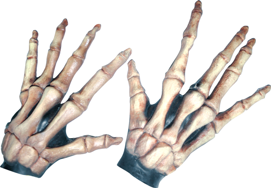 Large Skeleton Hands Bone-colored - Large Skeleton Hands (899x625), Png Download