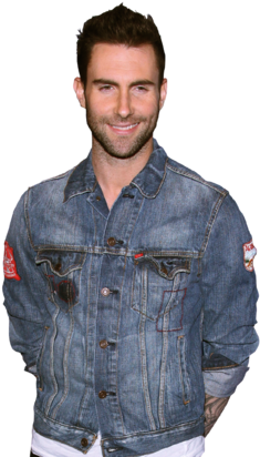 Adam Levine On The Voice, The Art Of Karaoke, And Getting - Adam Levine The Voice (330x412), Png Download