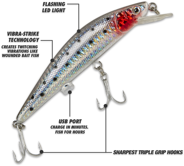 As Seen On Tv & Beyond - Rechargeable Twitching Lure (646x613), Png Download