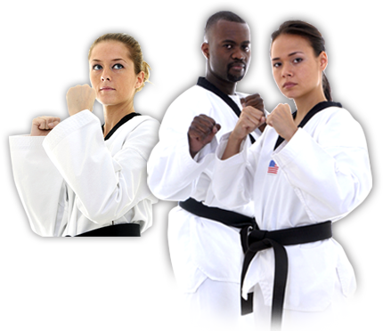 Adult Taekwondo - Adult Taekwondo Png (430x372), Png Download