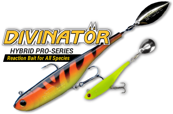 Divinatör Hybrid Pro-series - Biwa Baits (551x363), Png Download