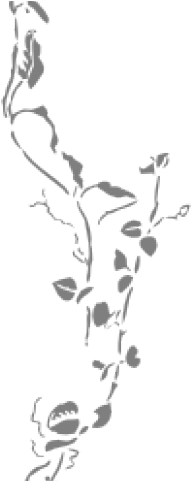 Wedding Borders - Borders Flower Black And White Png (640x480), Png Download