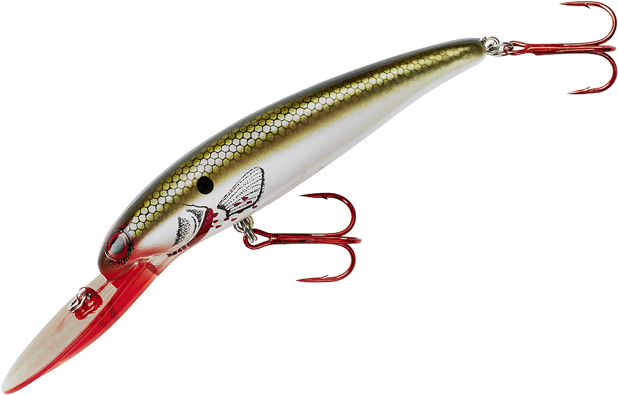 Lindy Rally Fish (1000x1000), Png Download