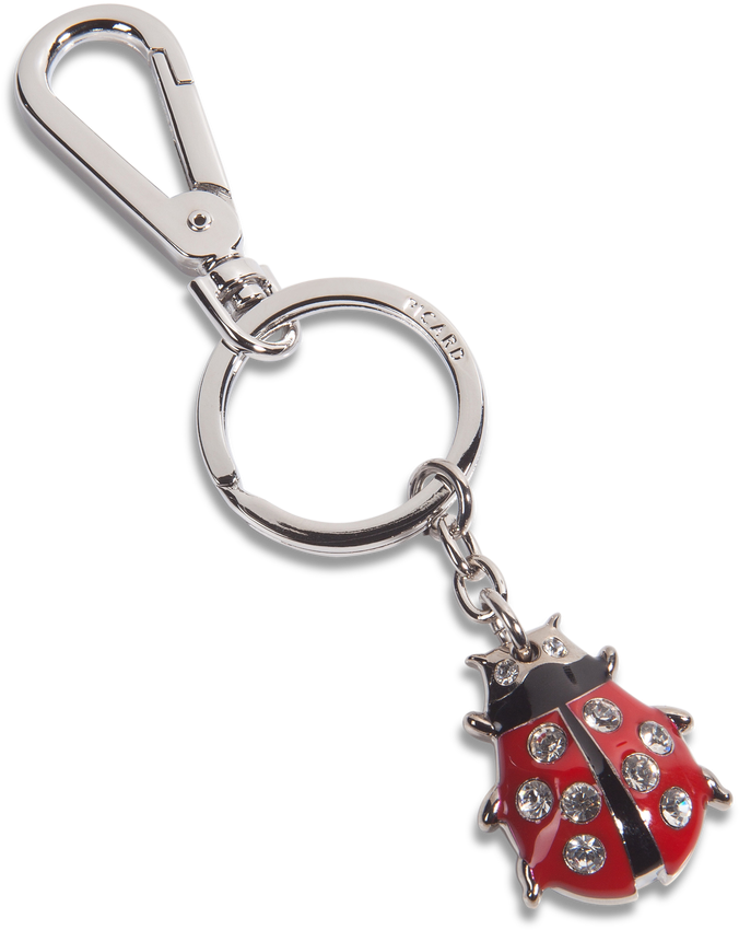 Key Holder Png Pic - Keychain (1000x1000), Png Download