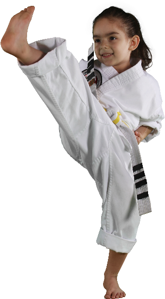Welcome To Emmons' Taekwondo Academy - Karate (533x800), Png Download