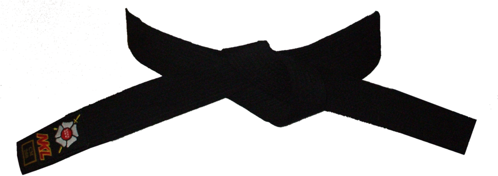 Taekwondo Cinturones - Cinturon De Judo Png (1024x390), Png Download