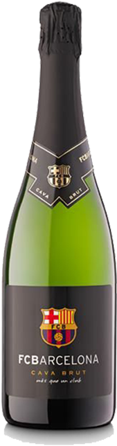 Fc-barcelona - Fc Barcelona (360x680), Png Download