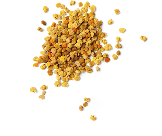 Bee Pollen - Hdi Clover Honey Harga (550x550), Png Download