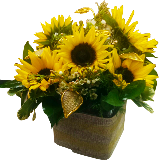 Sunflowers In Gold - Sunflower (600x600), Png Download
