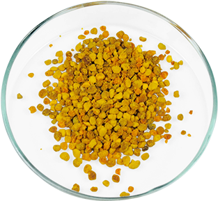 Efilwen Shrimps Bee Pollen (600x800), Png Download