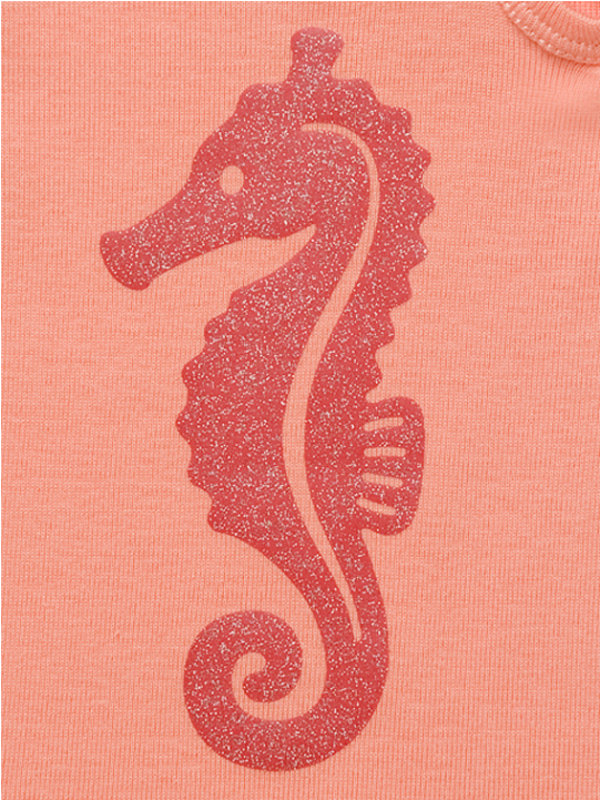 Tapete Ava Sea Horse - Northern Seahorse (960x720), Png Download
