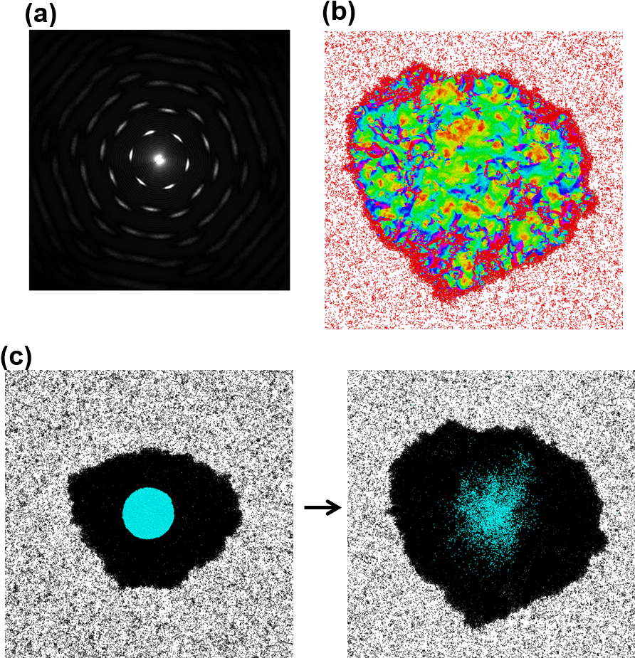 The Dashed Black Line Indicates The Binodal, Above - Circle (915x946), Png Download