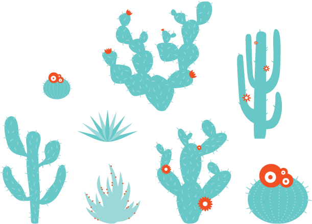 Desert Plants Wall Decals - Cactus (660x500), Png Download