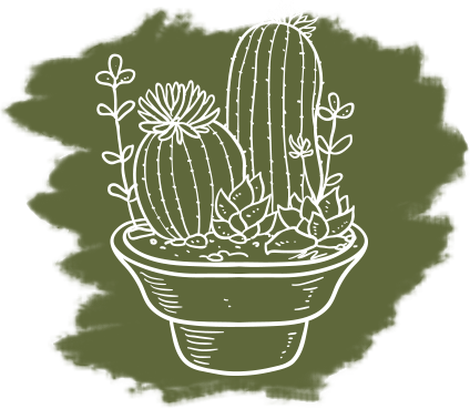 Full List Of Services - Hedgehog Cactus (424x369), Png Download