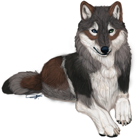 Realistic Looking Anime Wolves (513x506), Png Download