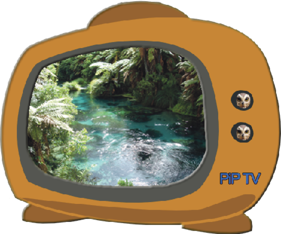 Pip Tv Channel - Putaruru Primary School Intermediate Mish Mash (970x809), Png Download