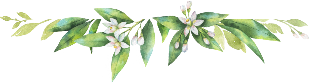 Growing In The Light And The Lifestyle Of A Priestess - Vector Graphics (1280x346), Png Download