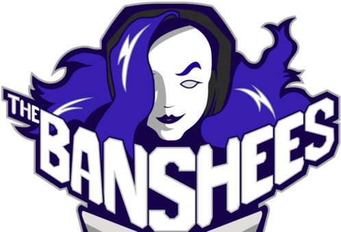 Banshee Tournament Graphic Design Full Size Png Download Seekpng