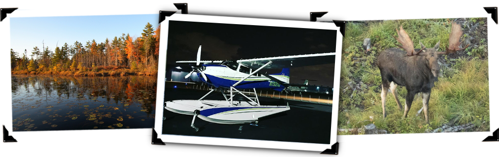 Air Tours - Acadian Seaplanes Llc (1010x319), Png Download