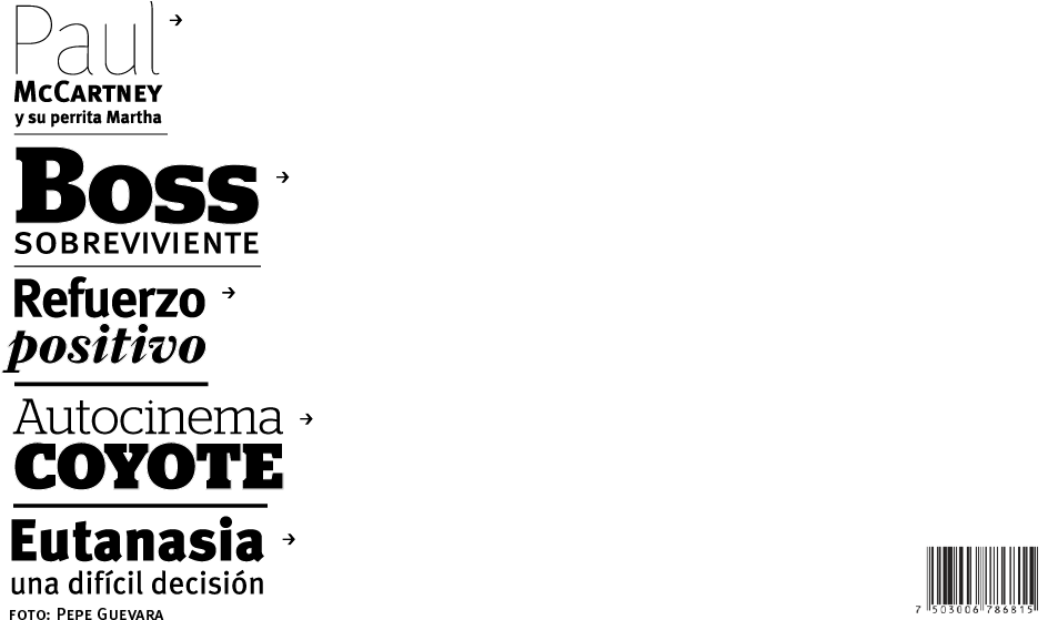 Se Busca Perro Extraordinario No - Ink (953x611), Png Download