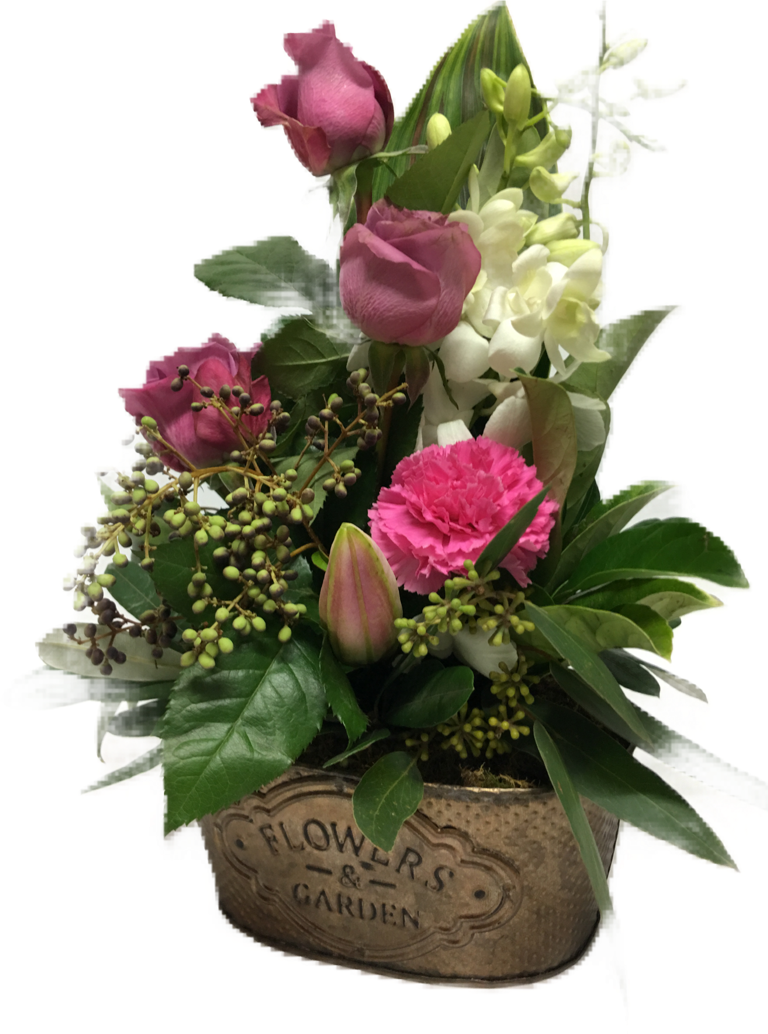 Rustic Flower Tins - Flowers Of Phillip Island (1536x2048), Png Download