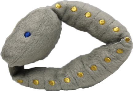 Pawtier Watch, Watch Dog Toy, Desinger Plush Dog Toy, - Cartier Dog Toy (432x296), Png Download