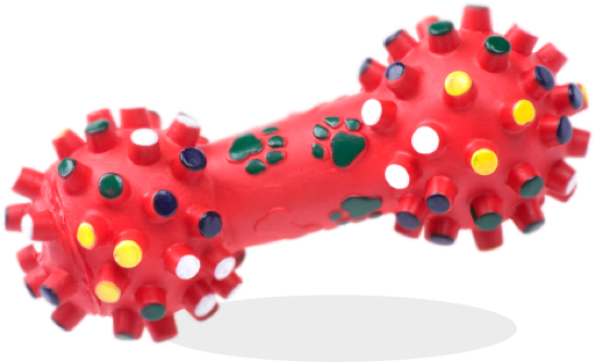 With Thousands Of Products In Stock, From Doggie Chew - Automotive Service Excellence (547x333), Png Download