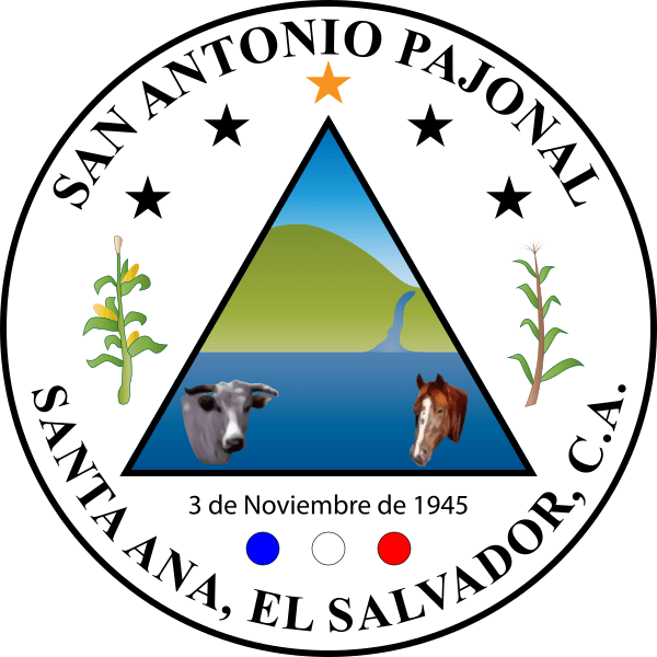San Antonio Pajonal (600x600), Png Download