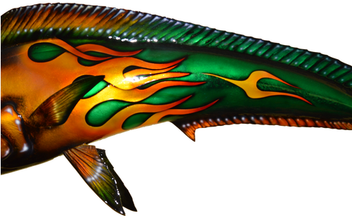 Mahi-bull With Hot Rod Flames - Marine Mammal (500x500), Png Download