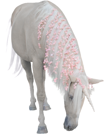 Hand Painted A Bowed Unicorn Png Transparent - Working Animal (1024x768), Png Download