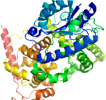 Researchers Show That Magnetic Fields Have Effects - Cytochrome C Oxidase (644x322), Png Download