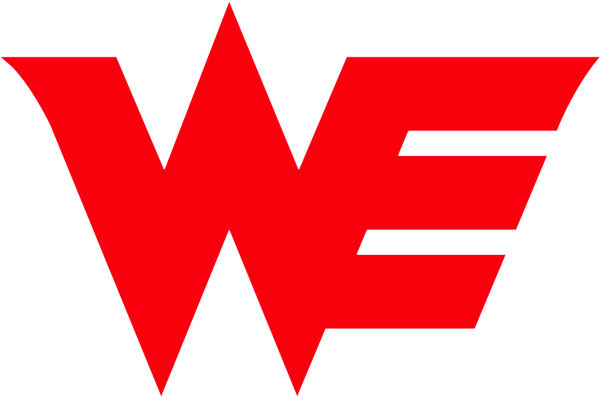 Lgd Logo Ksv Logo We Logo - Team We (600x398), Png Download