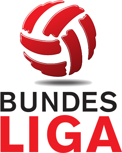 Austrian Bundesliga - Austrian Football Bundesliga (463x599), Png Download