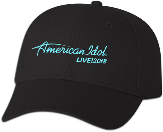 2018 American Idol Live Hat - Fox Legacy Flexit Hat Dark Brown (600x600), Png Download