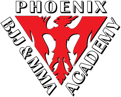 Phoenix Bjj & Mma Academy - Child (400x321), Png Download