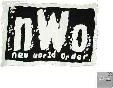 Matt Hardy 2 - New World Order (448x336), Png Download