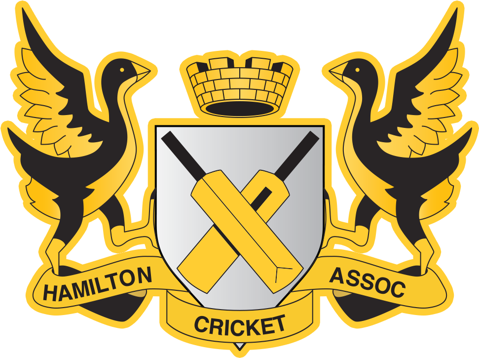 Recent Posts - Cricket New Logo 2017 (1000x760), Png Download