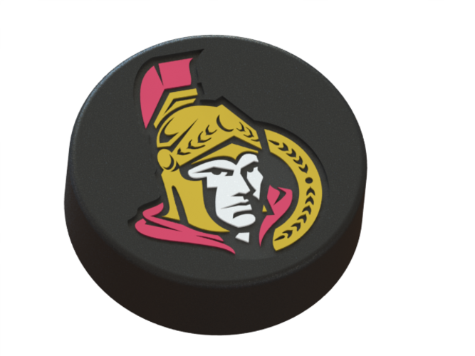 Ottawa Senators Logo On Ice Hockey Puck 3d Print - Ottawa Senators (667x500), Png Download