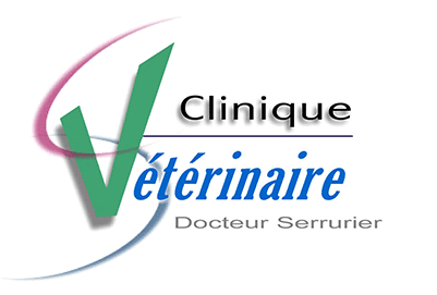 Clinique Vétérinaire Du Dr Loïc Serrurier, Logo Initial - Veterinary Physician (400x400), Png Download