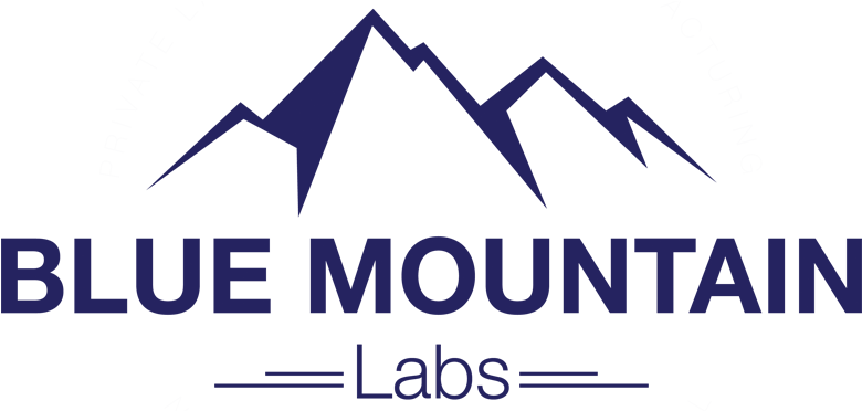 Blue Mountain Labs - Blockchain B (800x371), Png Download