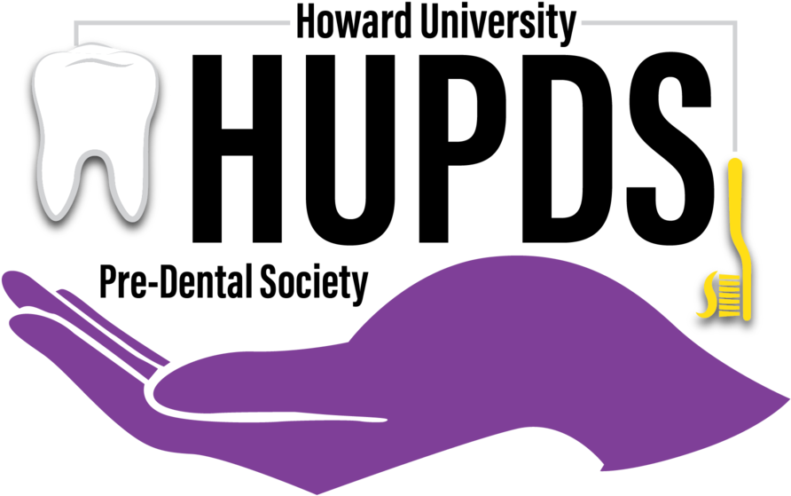 Logo@2x - City University (1000x626), Png Download