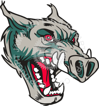 Mean Wild Boar Head In Color (335x361), Png Download