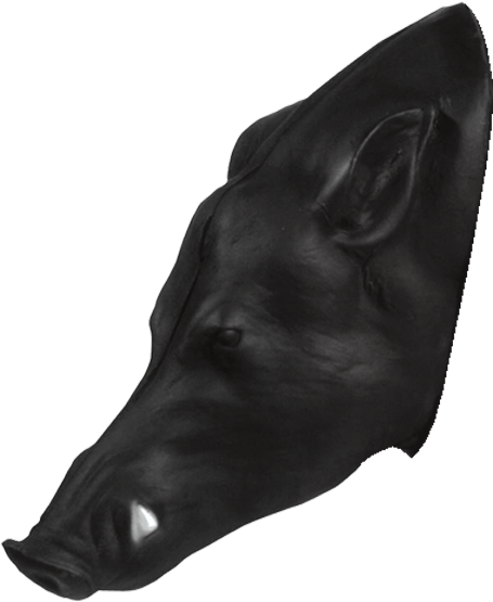Pro 3d Wild Boar Head - Boar (600x600), Png Download