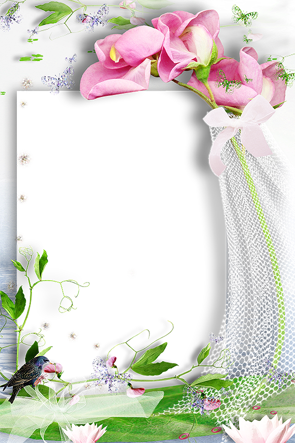 Pin By Meirelandespoggi@gmail - Picture Frame (600x900), Png Download