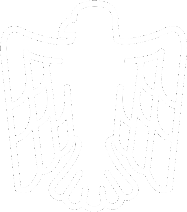 Live Birds Of Prey - Motivation Eagle (940x788), Png Download