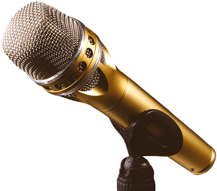 Pro Audio Microphone - Microphone (944x720), Png Download