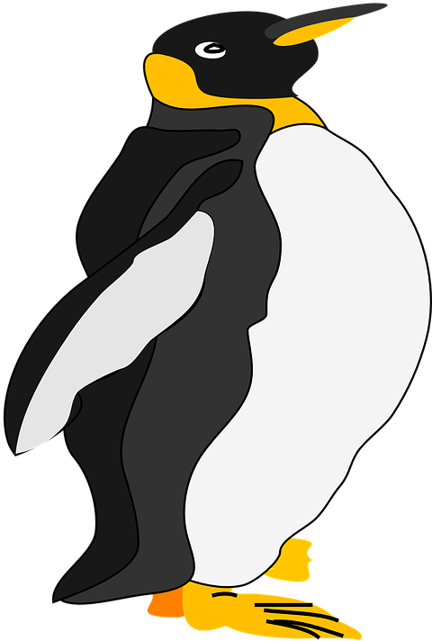 Baby Penguin, Cute, Penguin, Simple, Small - Emperor Penguin Cartoon Png (507x720), Png Download