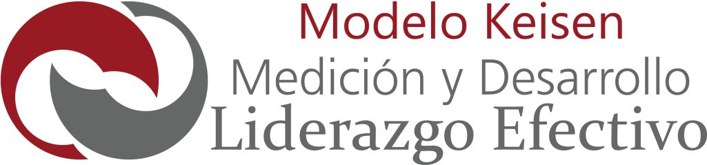 Modelo Keisen - Leadership (1024x245), Png Download